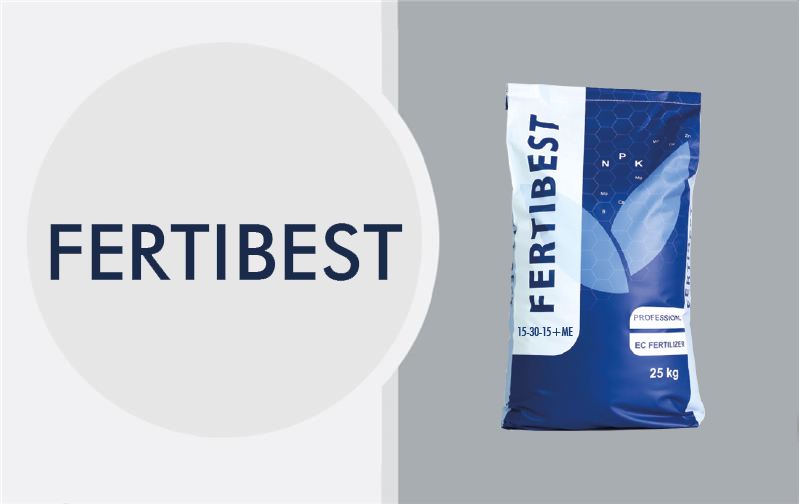 Business_Team_single