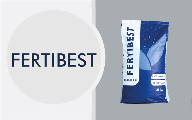 Business_Team_single