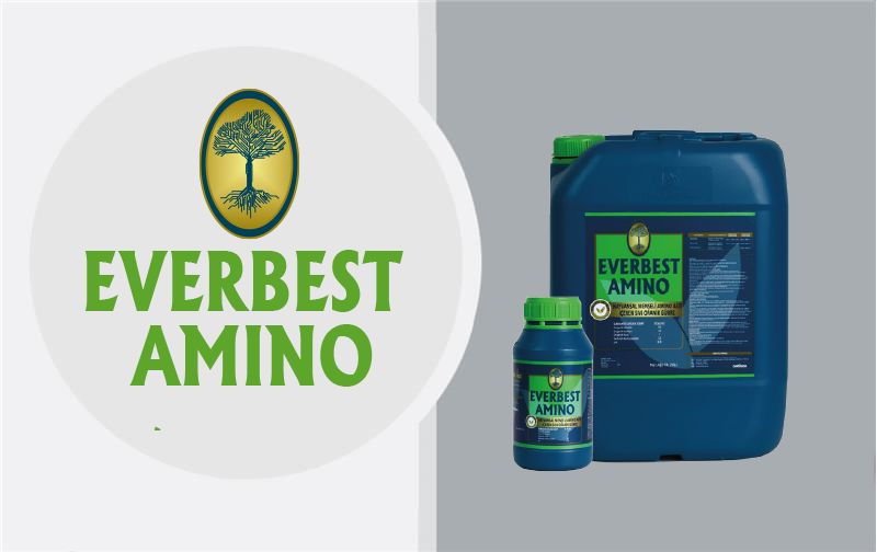 Business_Team_single