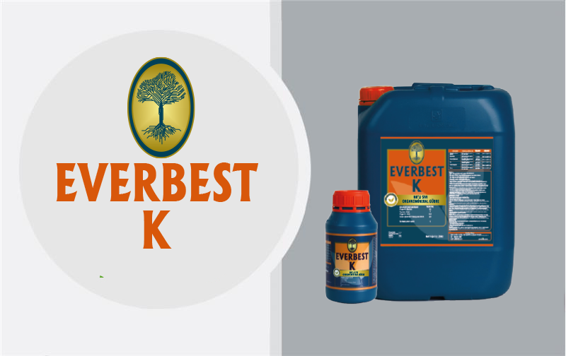 Business_Team_single