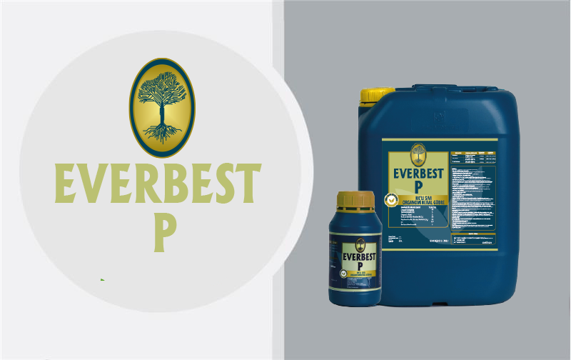 Business_Team_single