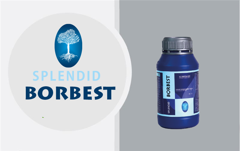 Business_Team_single