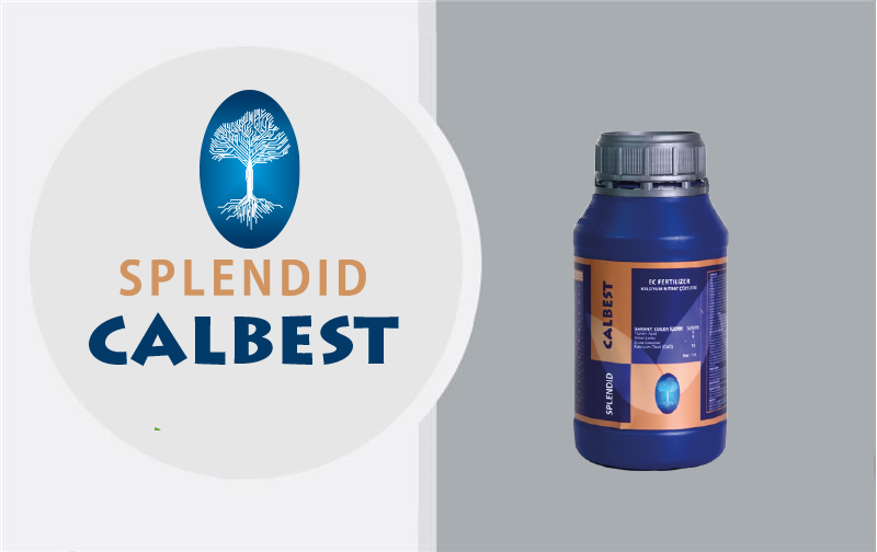 Business_Team_single