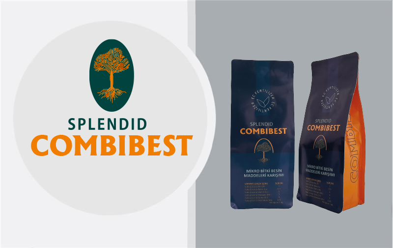 Business_Team_single