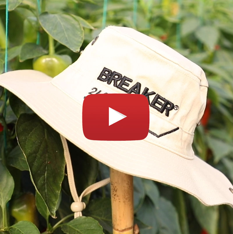 Breaker Beyazsinek FİNAL