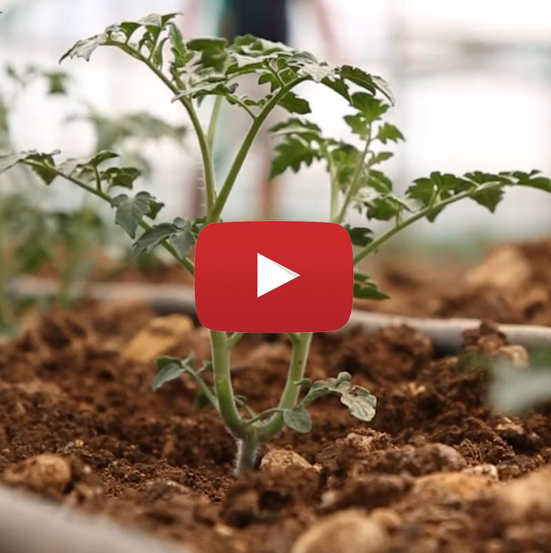 Radiant Testimonial Final