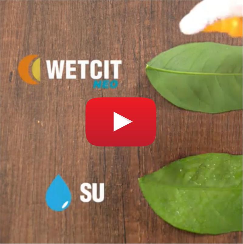 WETCİT NEO YÜKSEK YAYILIM