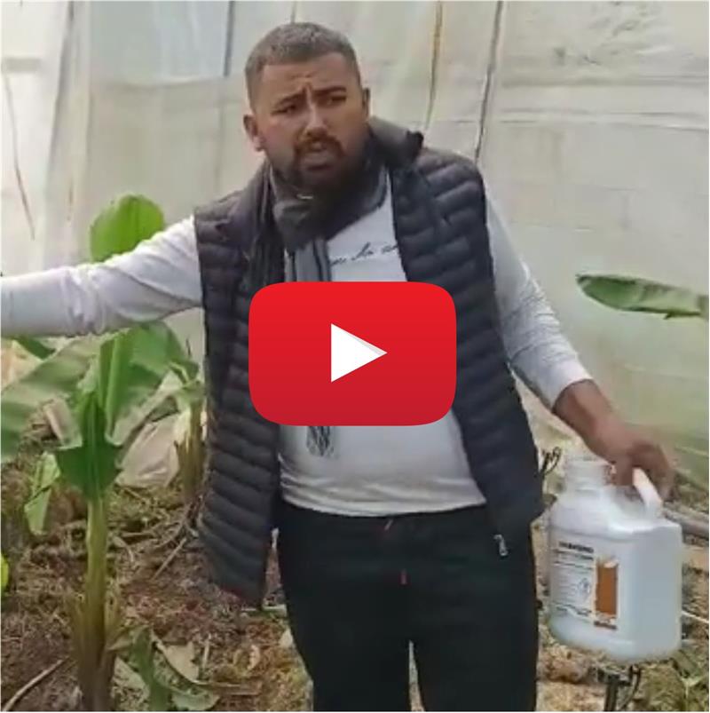 MUZDA TRANSFORMER UYGULAMASI