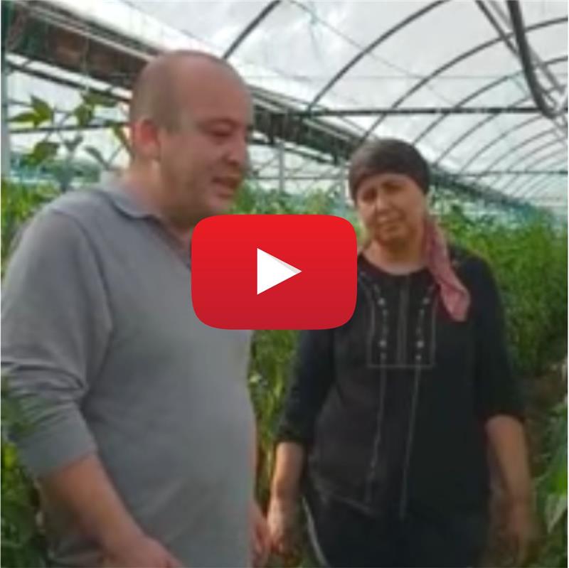 TRANSFORMER UYGULAMASI