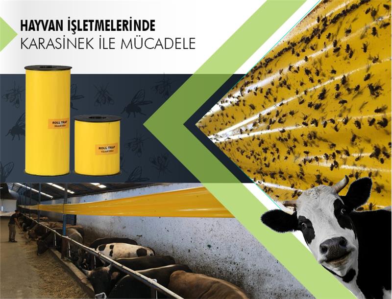 YELLOW ROLL TRAP FOR ANIMAL FACILITIES