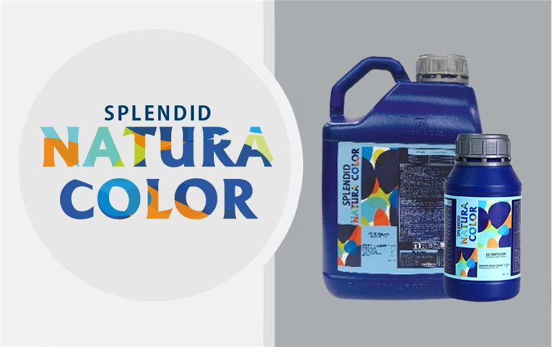 Business_Team_single