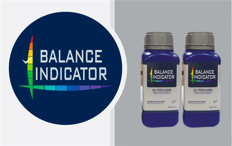 Business_Team_single