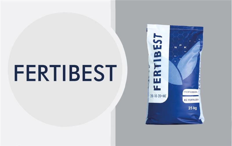 Business_Team_single