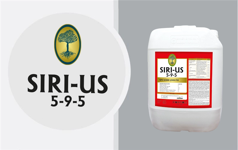 Business_Team_single