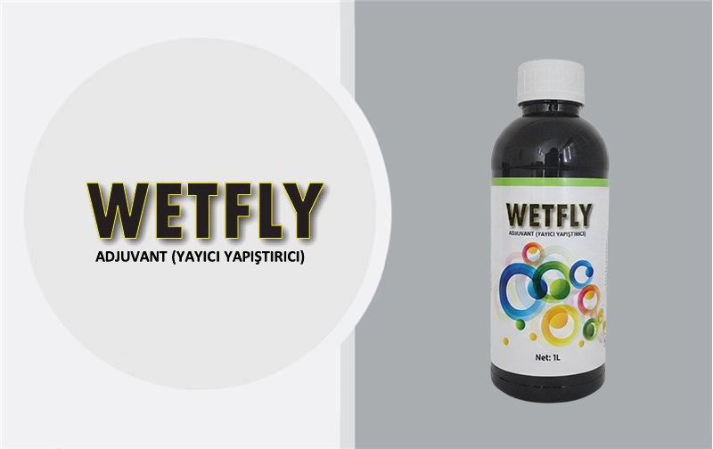 Business_Team_single