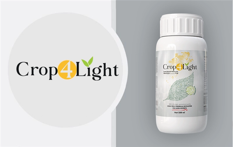 Business_Team_single